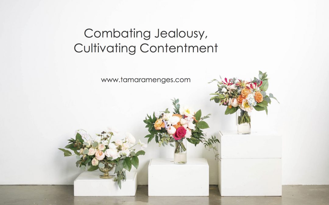Combating Jealousy, Cultivating Contentment